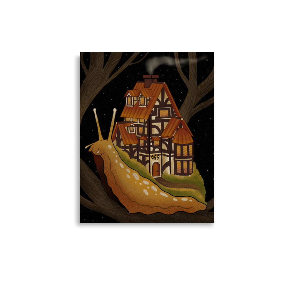 European wander house Poster