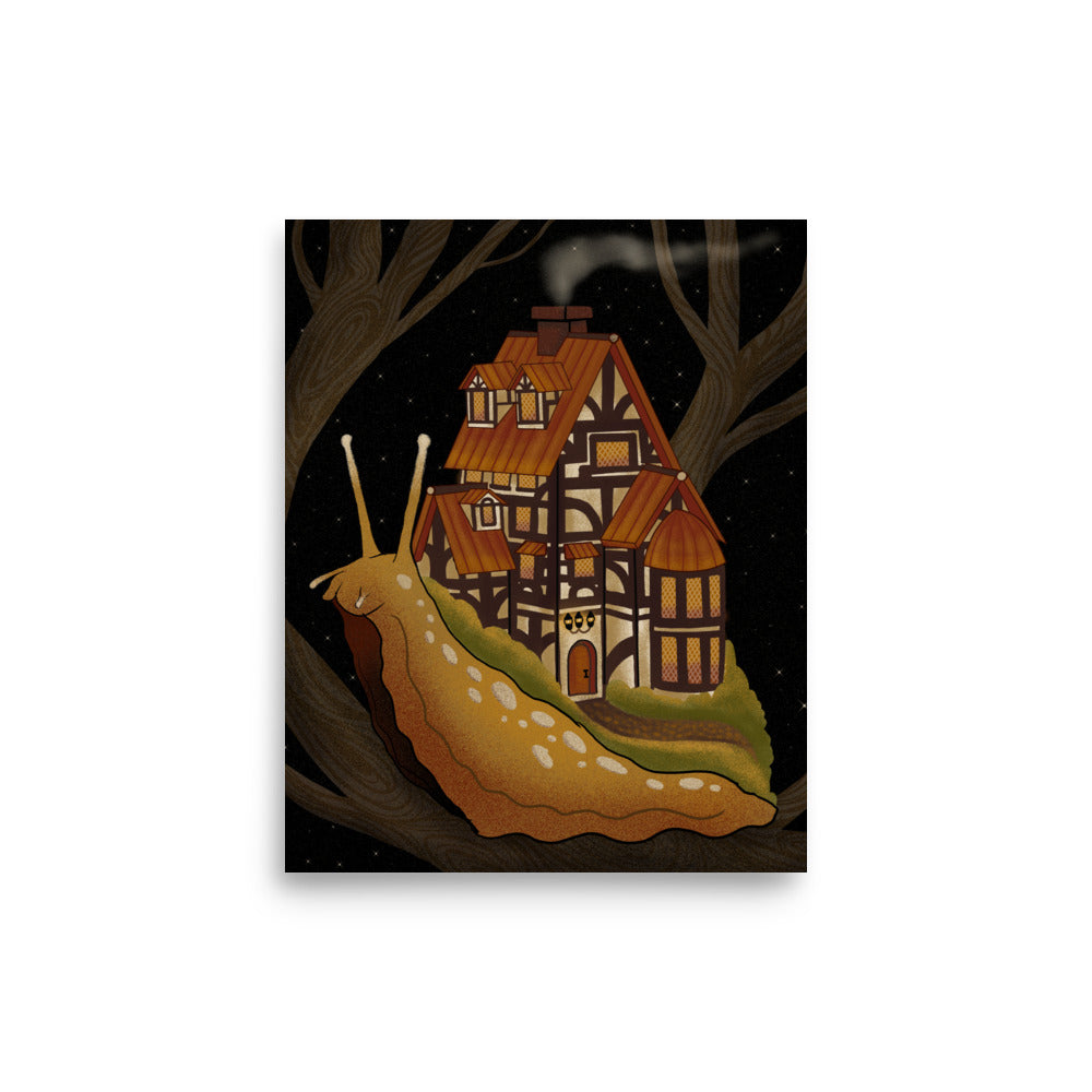 European wander house Poster