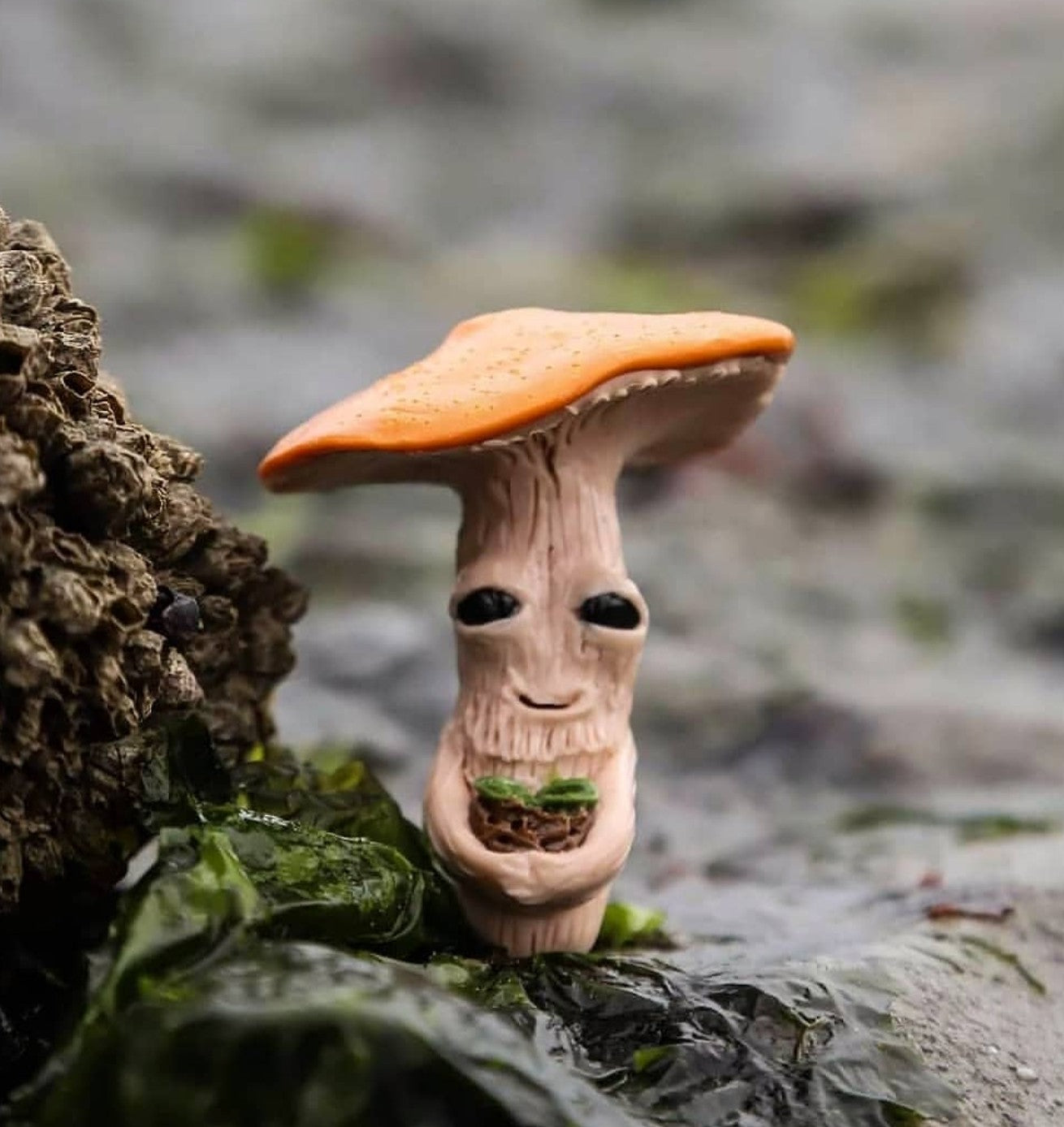 Mushroom planter pals