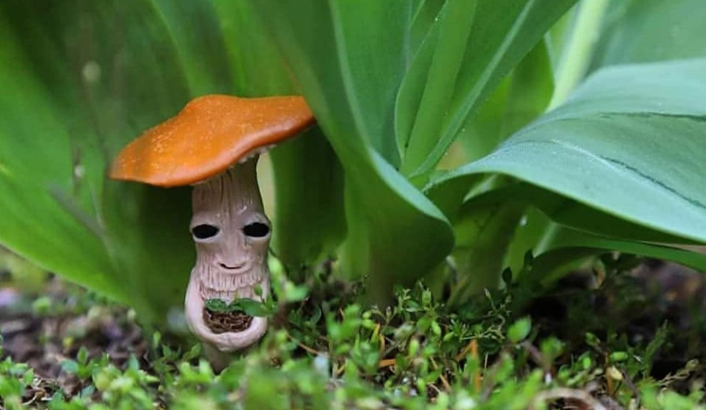 Mushroom planter pals